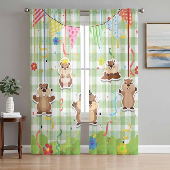 Sheer Curtains 63 Inch Length 2 Panels Set for Bedroom, Groundhog Day Semi Sheer Curtains for Windows, Colorful Ribbon Green Plaid Spring Voile Window Treatments Rod Pocket Curtain