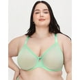 thumbnail image 1 of Sheer Mesh Full Coverage Unlined Underwire Bra - Appletini, 1 of 5
