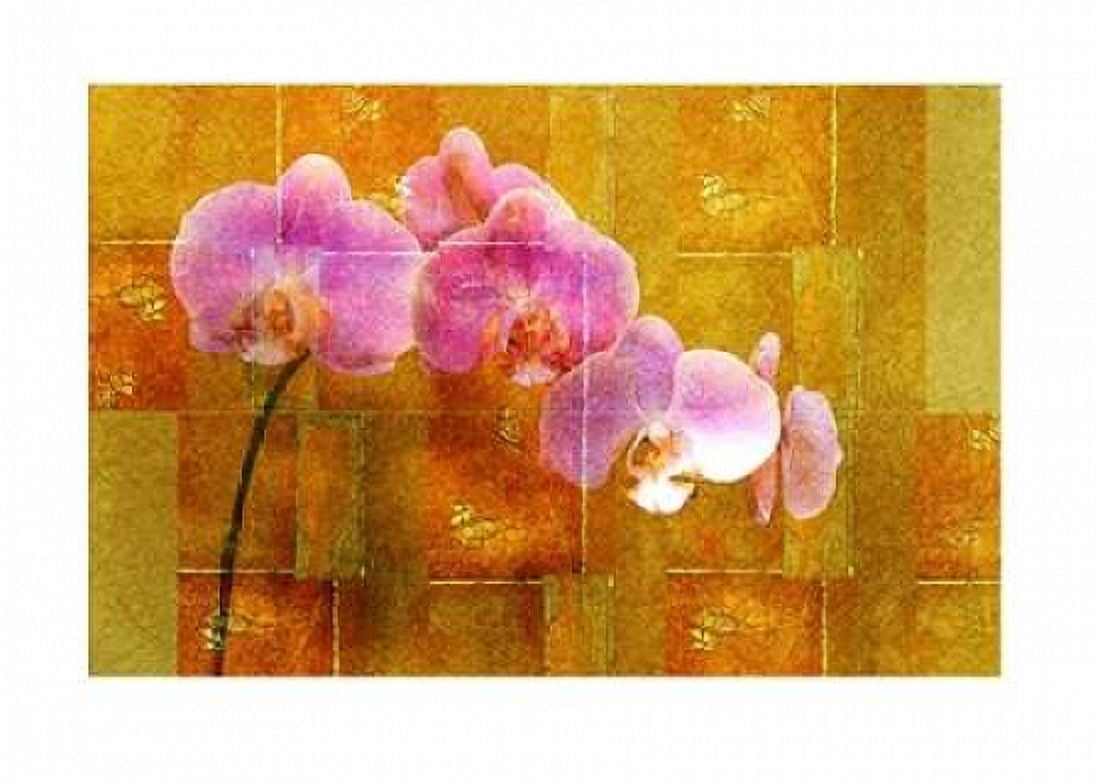 Sheer Pink Orhcid Canvas Art - Walter Robertson (20 x 28)