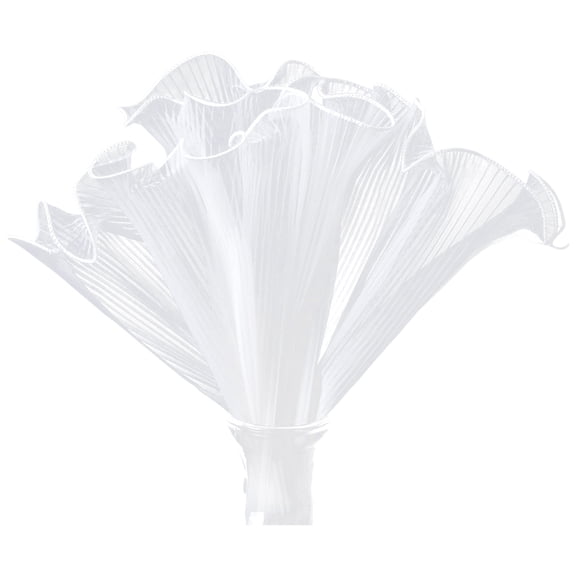 Sheer Tulle Lace Trim Ribbon For Wedding Dressmaking Craft Decor And Bouquet Wrapping