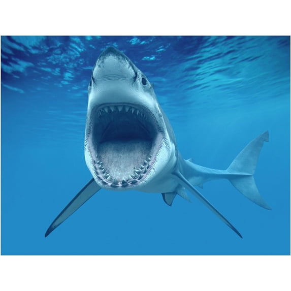 TNCT Shark Attacking Edible Image Cake Topper for Quarter Sheet Cake