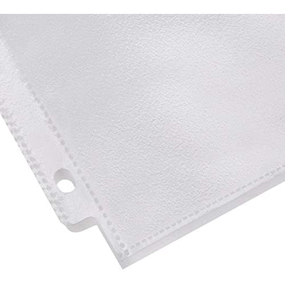 Sheet Protector, Non-Glare, 100-Pack, 8.5 x 11, Clear