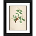 thumbnail image 1 of Sheikh Zain al-Din 14x18 Black Ornate Wood Framed Double Matted Museum Art Print Titled - Hwamei on Terminalia Branch (1780), 1 of 5