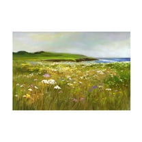 Sheila Finch 'Montara Bluffs' Canvas Art