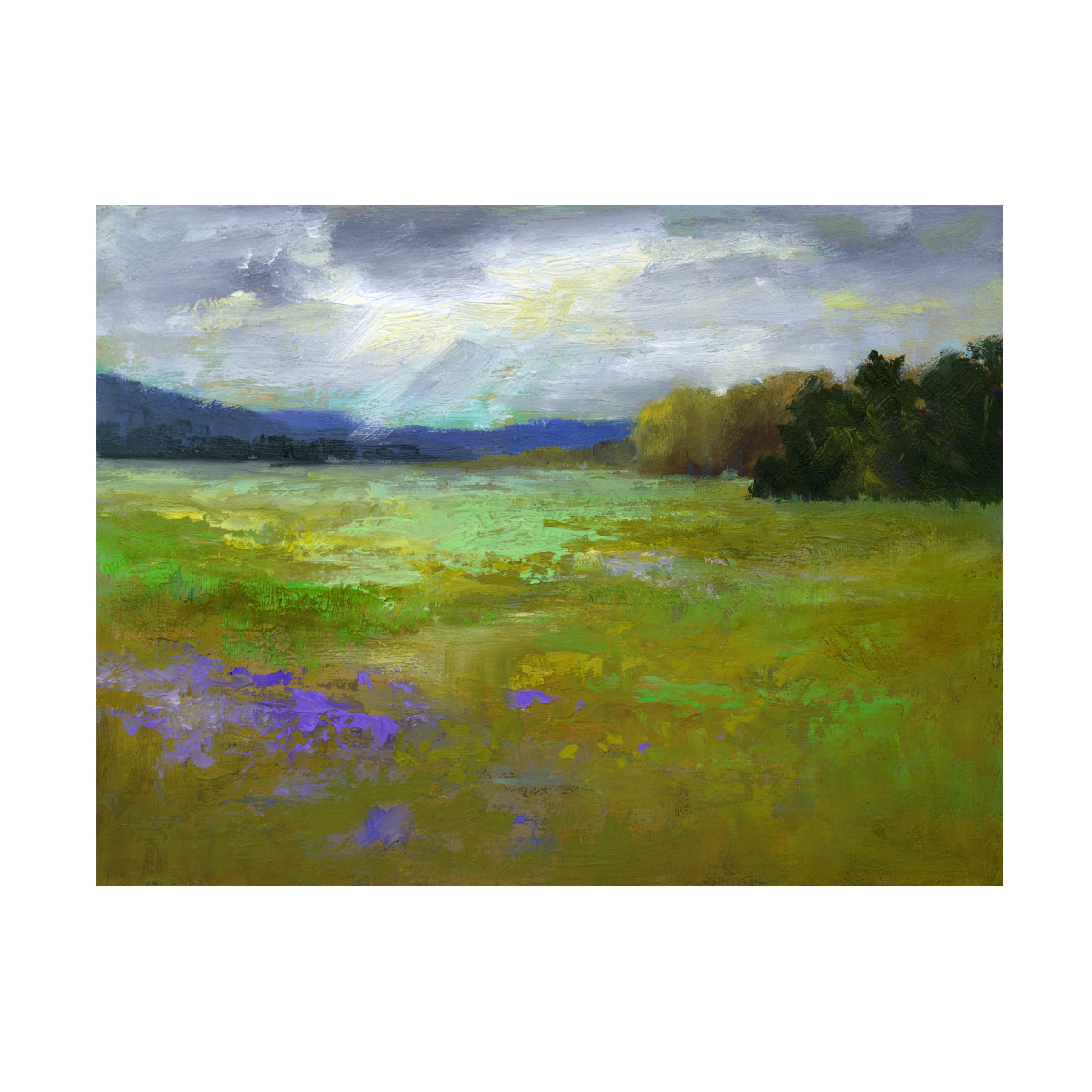 Sheila Finch 'Springtime' Canvas Art - Walmart.com