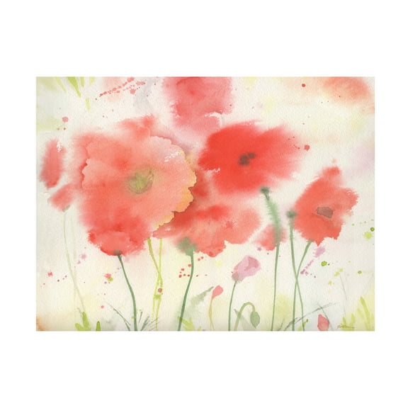 Trademark Fine Art Sheila Golden Coral Fiesta Canvas Wall Art - 18x24