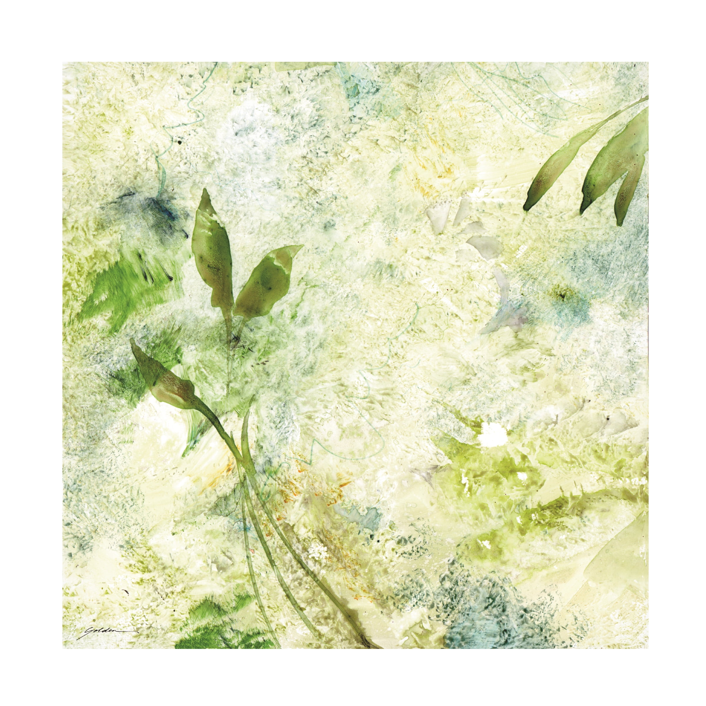 Green Haze Abstract Floral Canvas Print, 14" x 14"