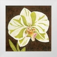 thumbnail image 1 of Shelby, Judy 15x15 White Modern Wood Framed Museum Art Print Titled - Surabaya Orchid Petites A, 1 of 4