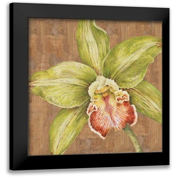Shelby, Judy 20x20 Black Modern Framed Museum Art Print Titled - Aloha Beauty II