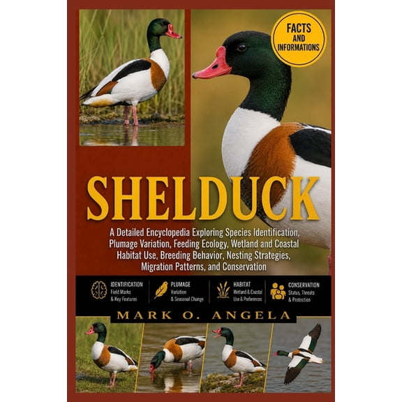 Shelduck: A Detailed Encyclopedia Exploring Species Identification, Plumage Variation, Feeding Ecology, Wetland and Coas, (Paperback)
