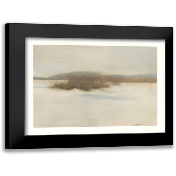 Sheler, Sammy 14x12 Black Modern Framed Museum Art Print Titled - Winter Willows