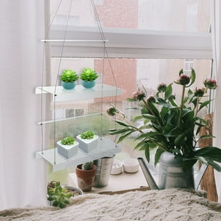 1Pc Acrylic Window Shelves Indoor Plant Shelves with Suction Cup  (Transparent) 