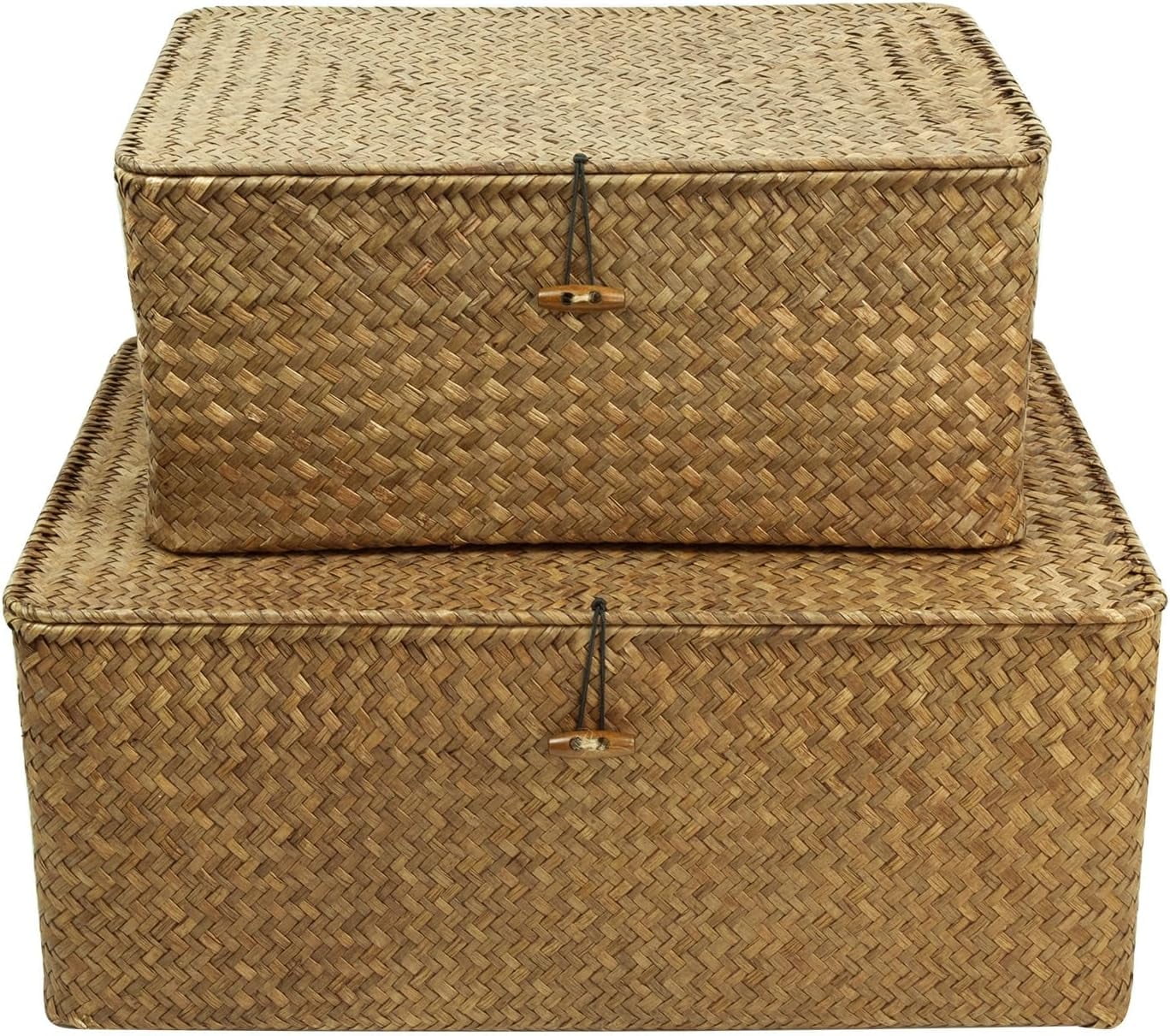 Shelf Storage Baskets with Lid, 2-Pack Wicker Storage Bakset, Woven