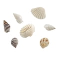 thumbnail image 1 of Shell Beads by Bead Landing, 1 of 8