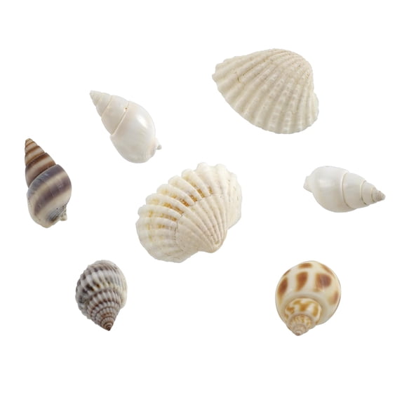 Shell Beads by Bead Landing