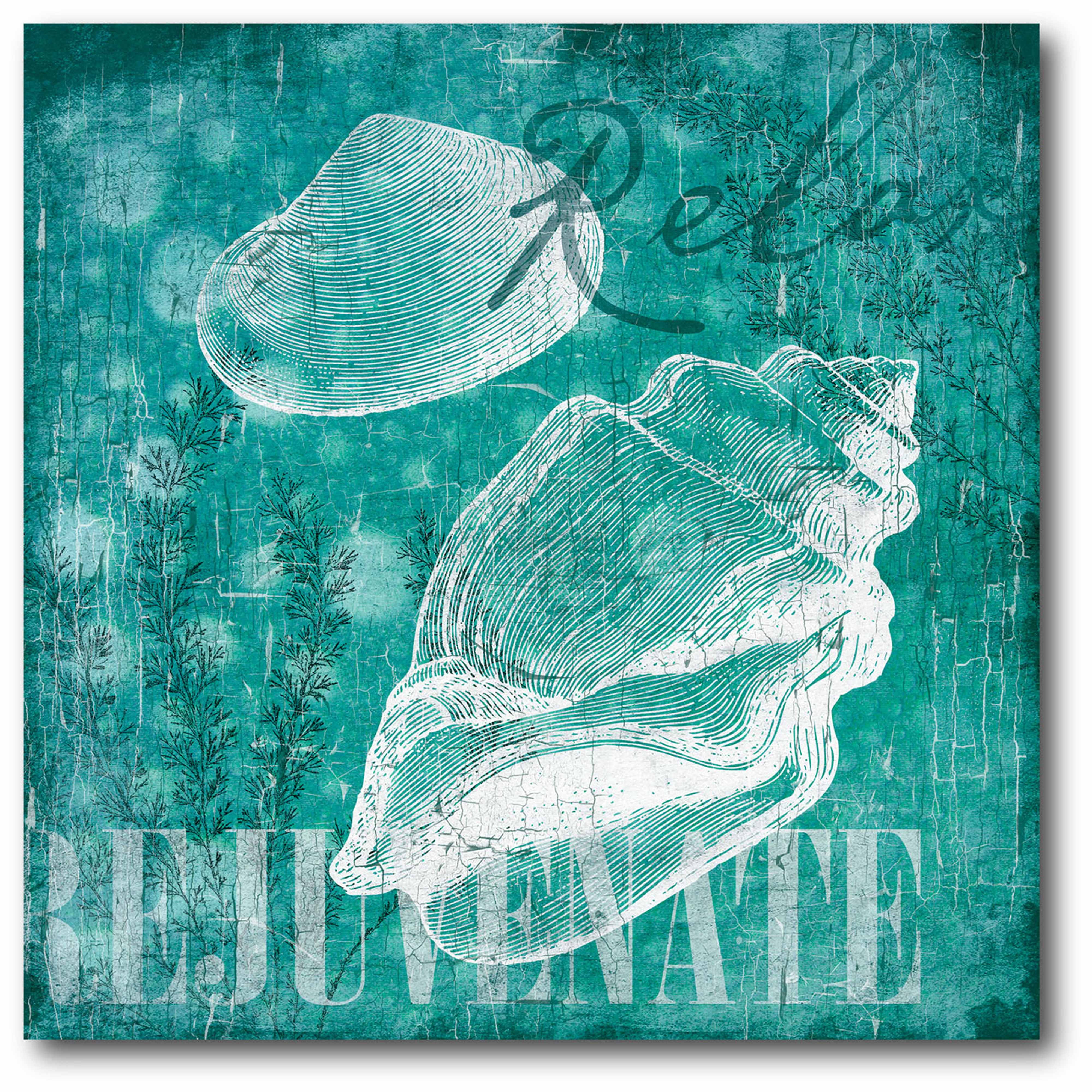 Shell Bubbles I Gallery-Wrapped Canvas Wall Art, 16x16