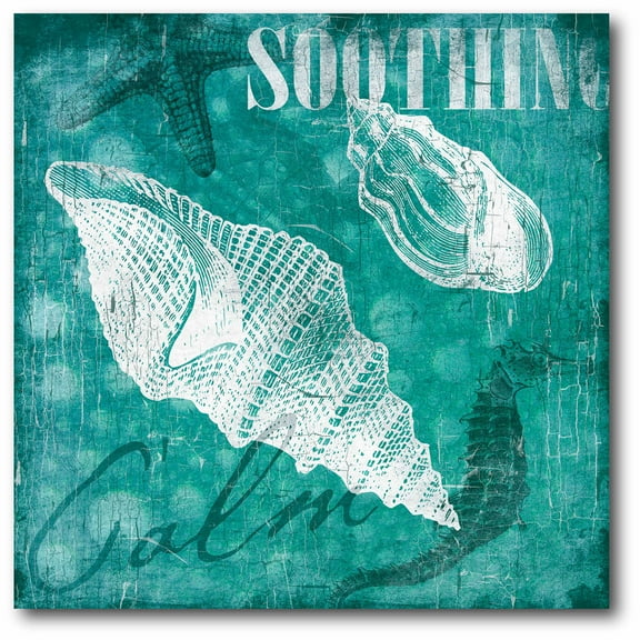 Shell Bubbles II Gallery-Wrapped Canvas Wall Art, 16x16