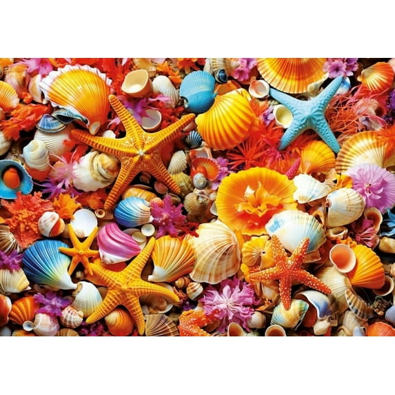Shell Collage Made by Educa
