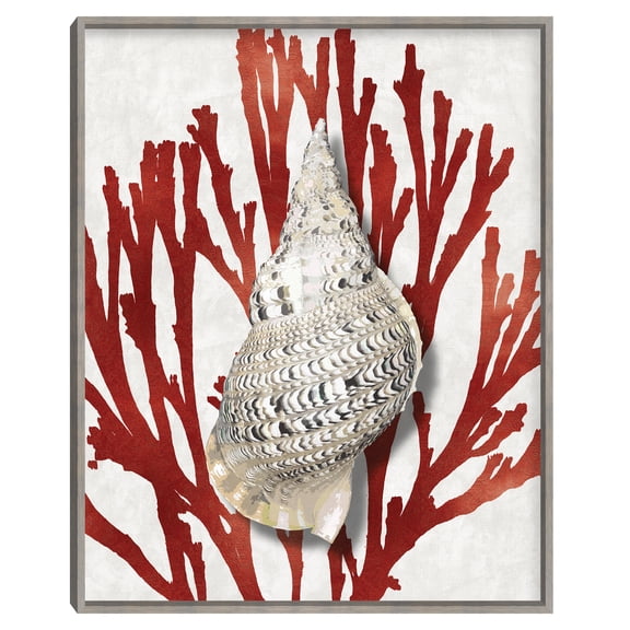 Shell Coral Red I by Caroline Kelly FLUSH -Framed Canvas (FF series) Frame Art Print