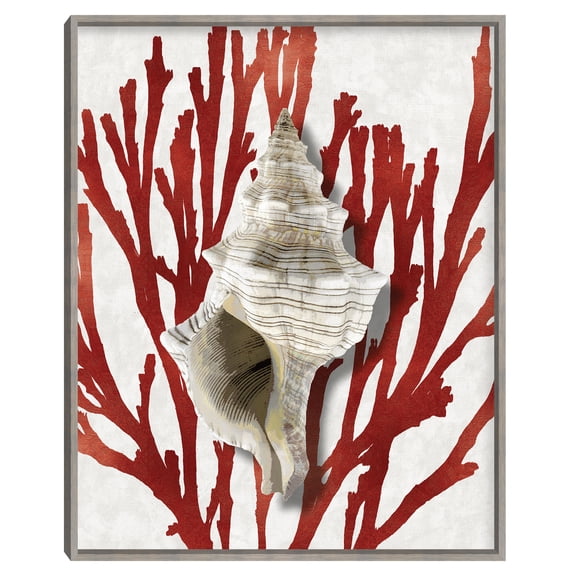 Shell Coral Red III by Caroline Kelly Inverted Wood Box Frame Art Print