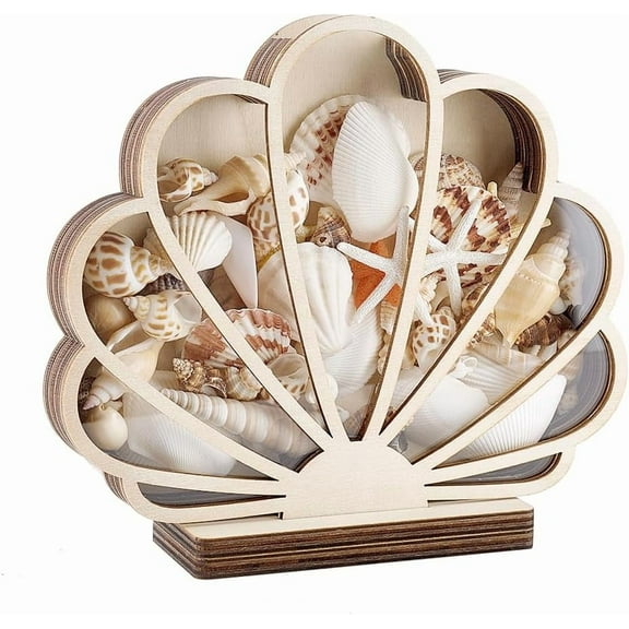 Shell Display Case 7.8x7 inch Wooden Seashell Shadow Box with Clear Window Wood Shell Holder Seashell Shaped Display Box for Coastal Beach Room Bedroom Home Vacation Decoration DIY