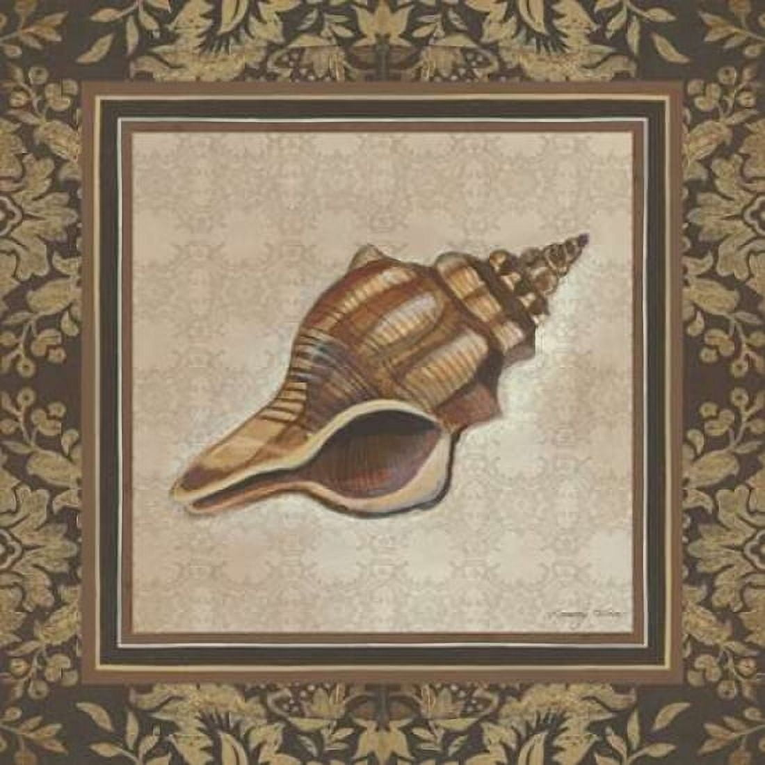 Shell Elegance I Canvas Art - Kimberly Poloson (24 x 24)