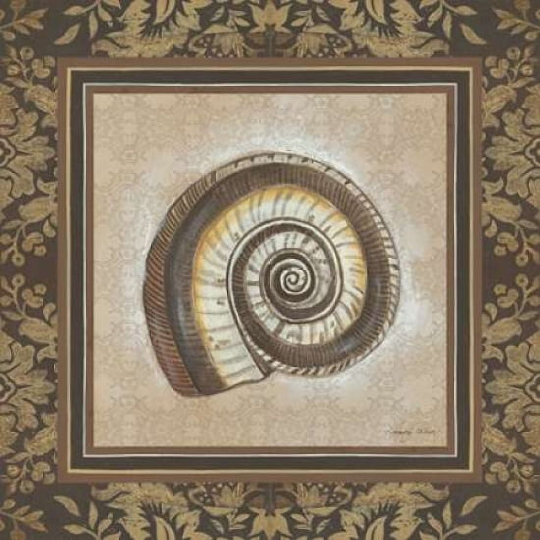 Shell Elegance III Canvas Art - Kimberly Poloson (24 x 24)