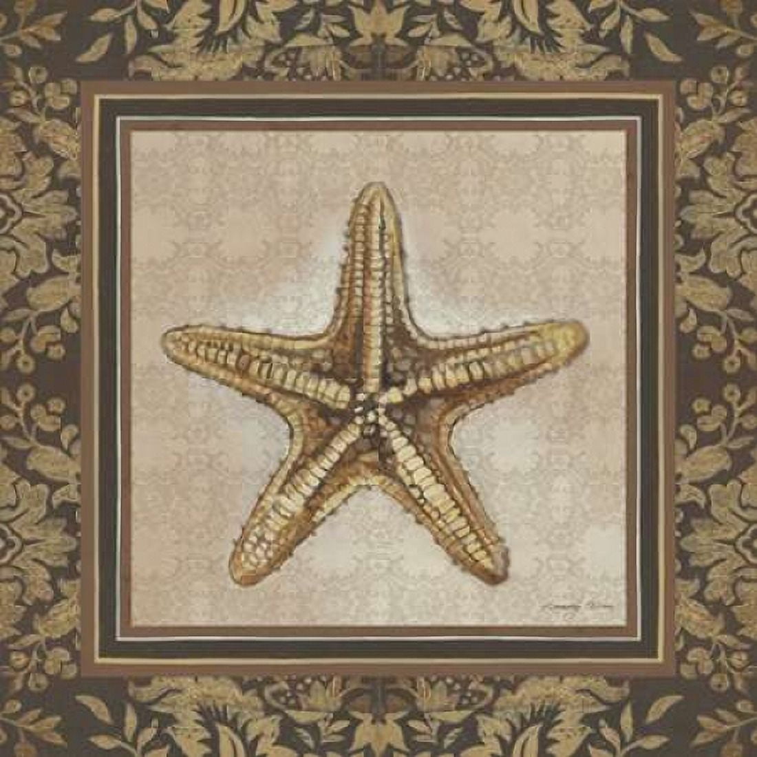Shell Elegance IV Canvas Art - Kimberly Poloson (24 x 24)