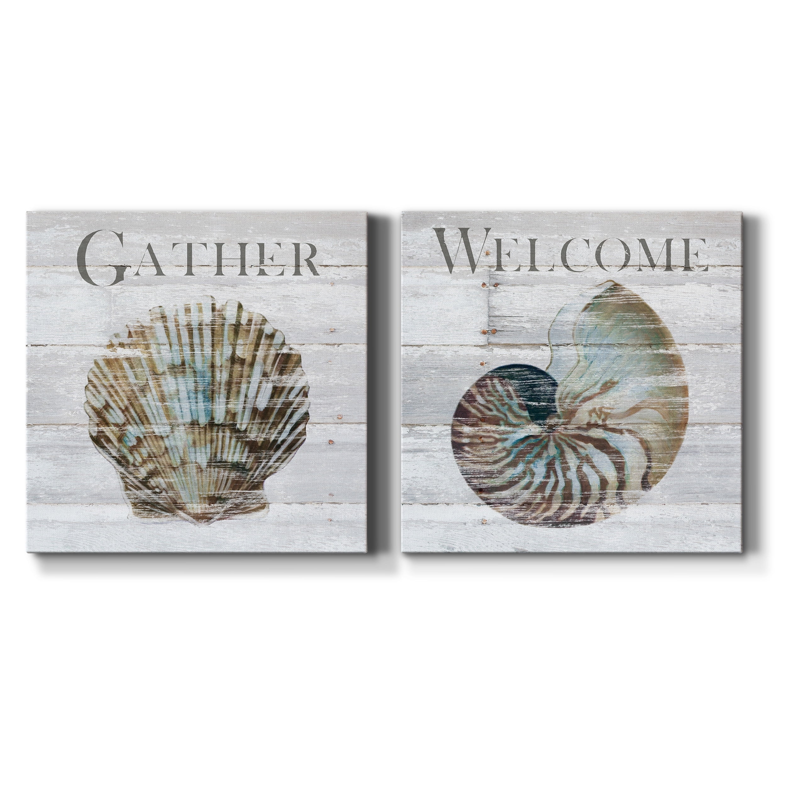 Shell Gather - Premium Gallery Wrapped Canvas - Ready to Hang Set of 2 - 10 x 10 Each