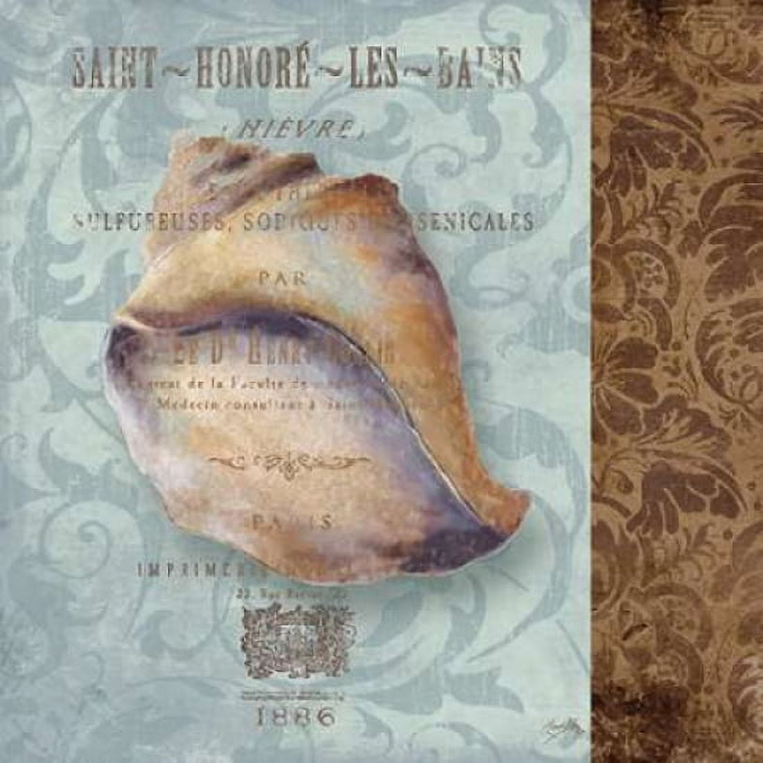 Shell II Canvas Art - Elizabeth Medley (24 x 24)