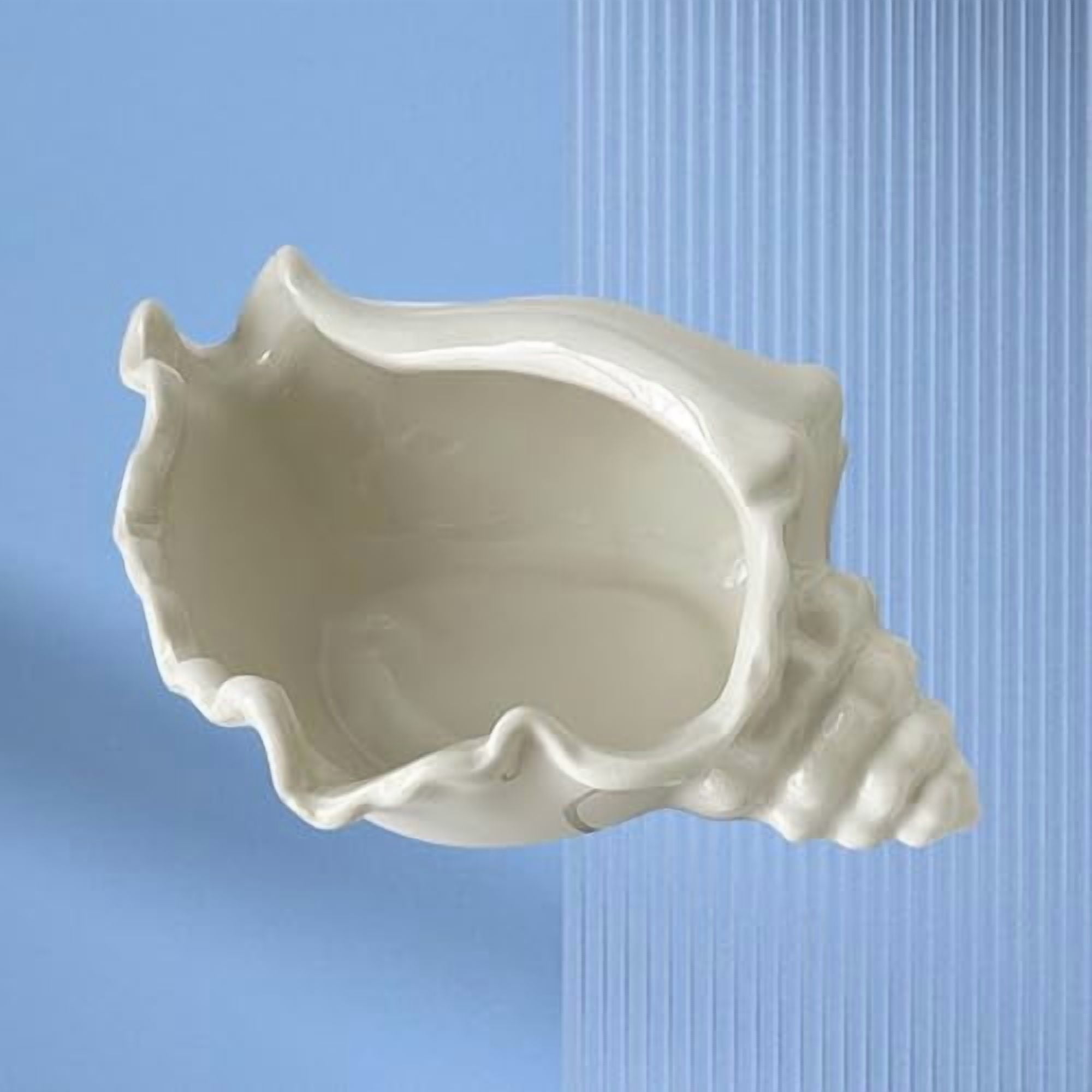 Shell Jewelry Dish Tray, White Ceramic Conch Shell Conch Shape Ceramic ...