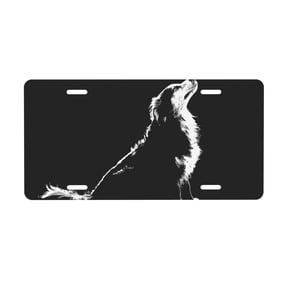 Shell Logo License Plate Car Front License Plates with 4 Holes Funny Aluminum Metal for Car Front & Back Licenses Plates Vanity Tag Metal Car Plate for Women Men 6 X 12 Inch