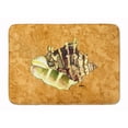 thumbnail image 1 of Shell Machine Washable Memory Foam Mat, 1 of 2