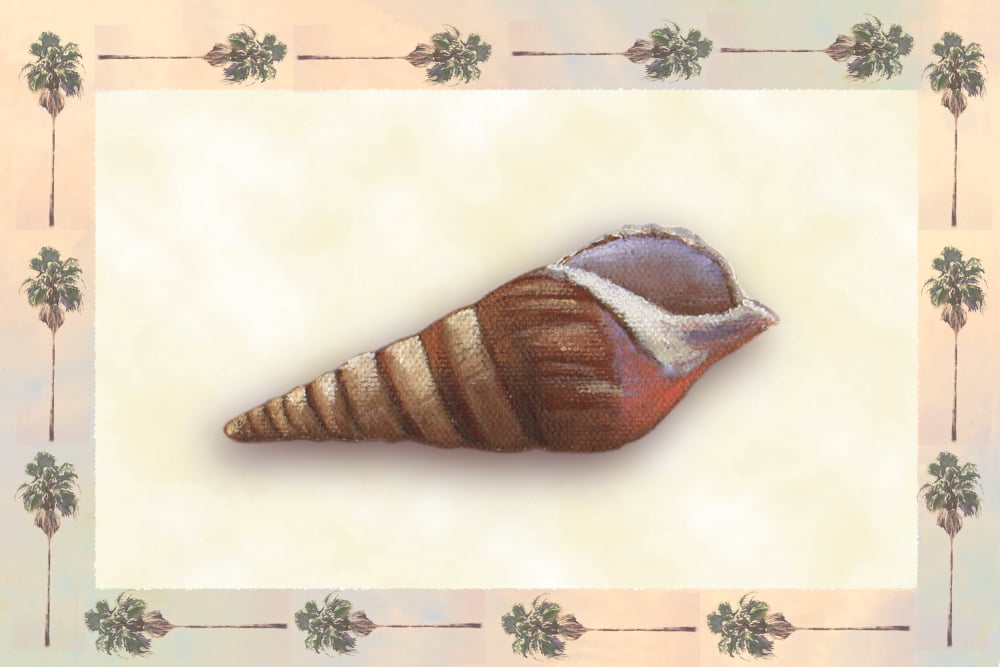 Shell Motif Canvas Art - Lin Seslar (12 x 18)