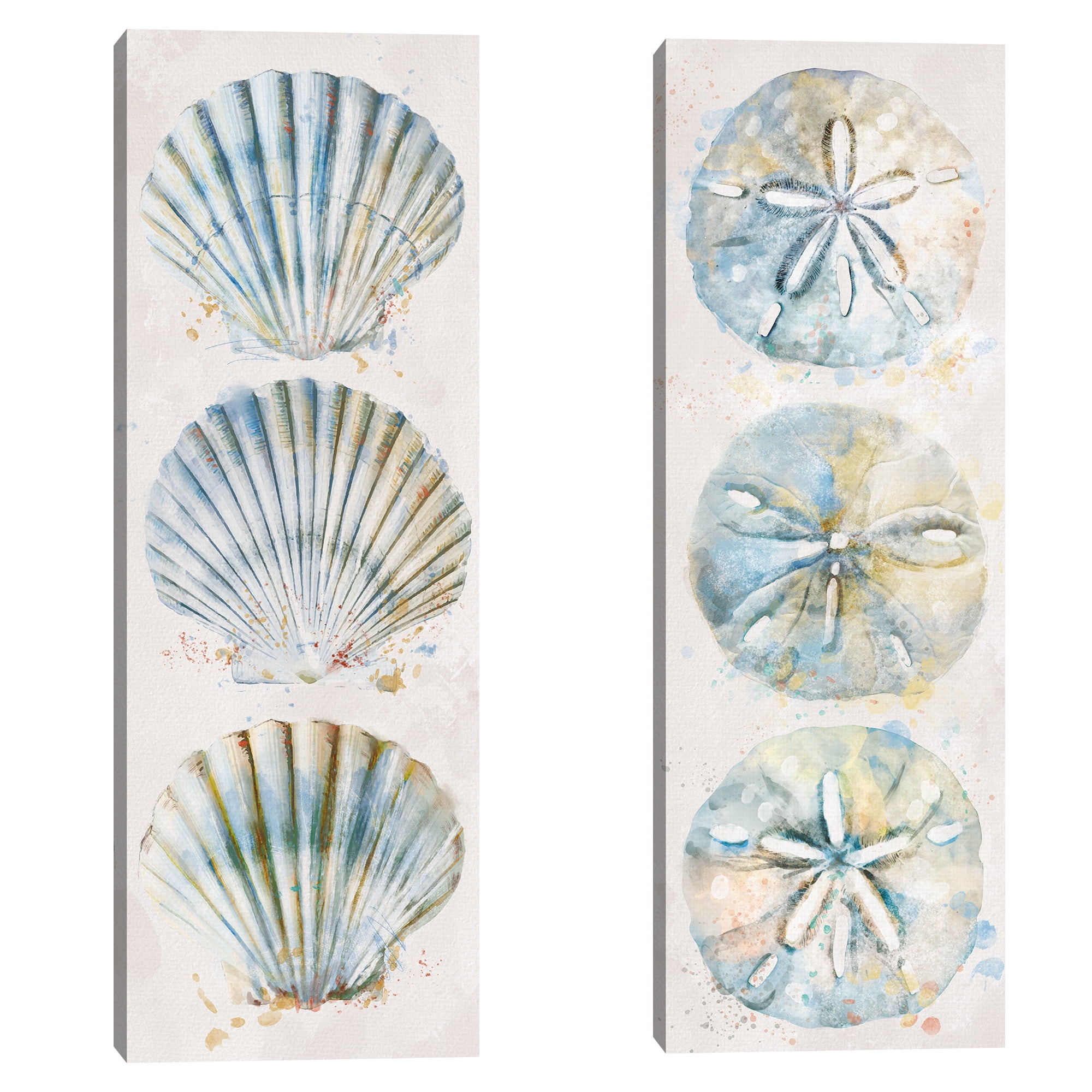 Coastal Seashell and Sand Dollar Canvas Prints Set of 2
