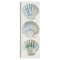 thumbnail image 1 of Shell Panel I by Studio Arts Canvas Art Print, 1 of 4