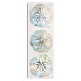 thumbnail image 1 of Shell Panel II by Studio Arts Canvas Art Print, 1 of 4