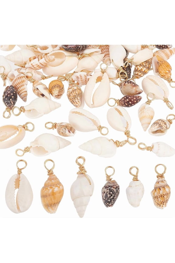 Shell Pendants Spiral Seashells Craft Charms Cowrie Sea Shells Pendant Natural Shell Charms Conch Shells with Loop Bail Colorful
