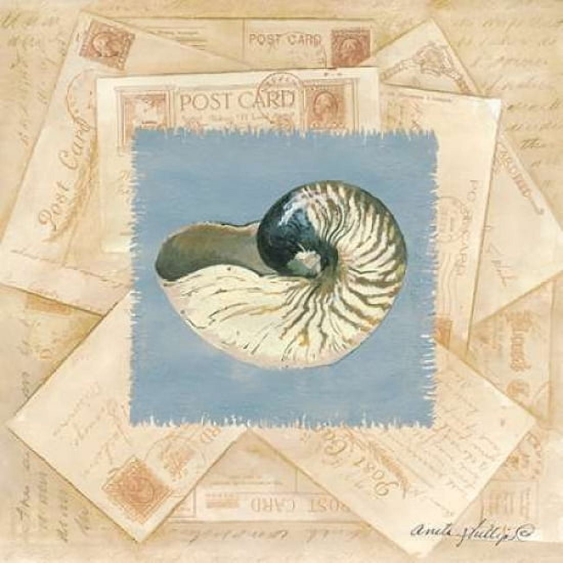 Shell Postcard Canvas Art - Anita Phillips (24 x 24)