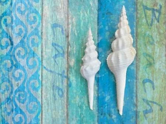 Shell Series II Canvas Art - Cora Niele (22 x 28)