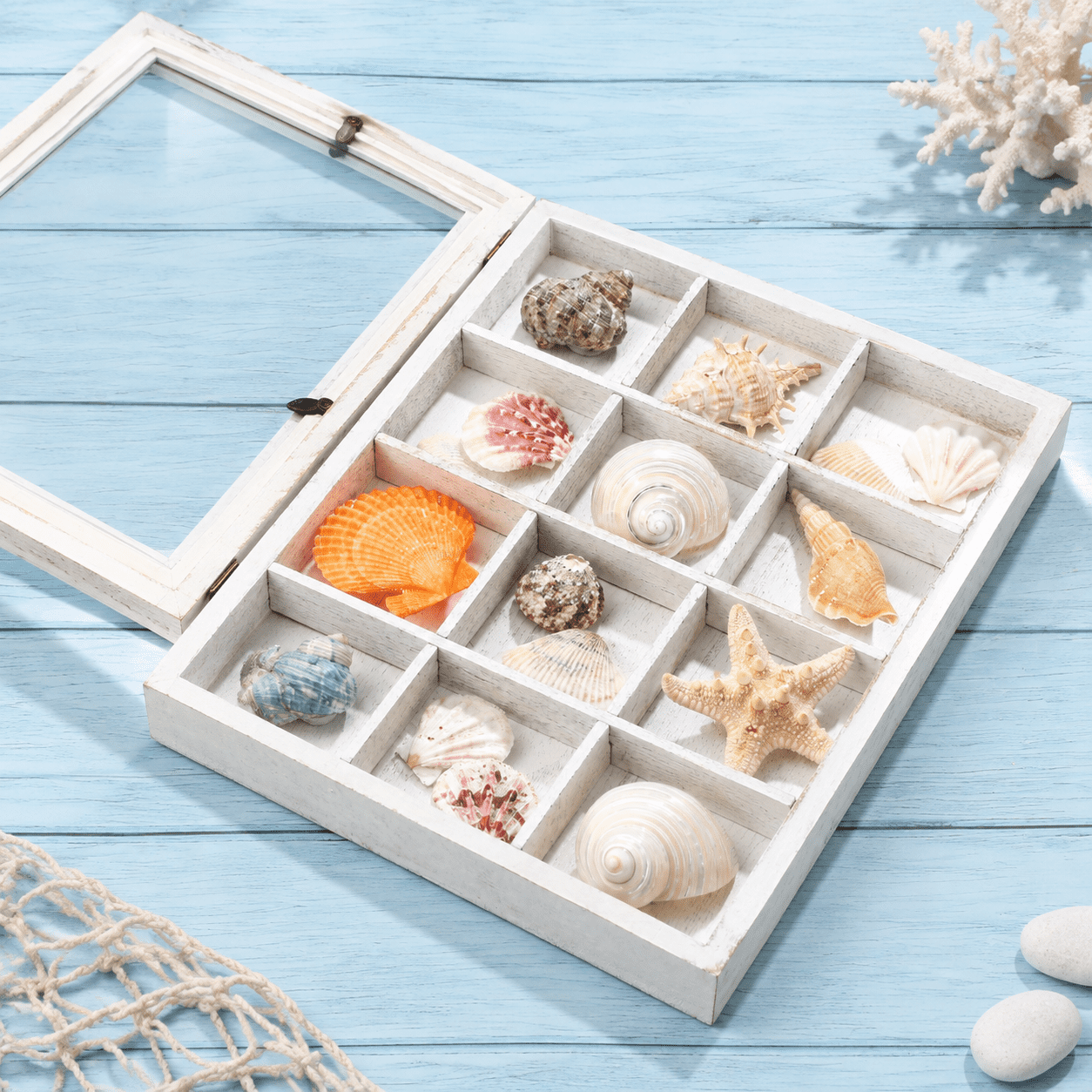 Shell Shadow Box With Shelves Display 9x11 In White - Walmart.com