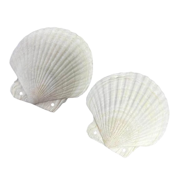Shell Shape Small Journal with Customizable Page Refillable Paper Notebook Planner for Artistic Expression Daily Use