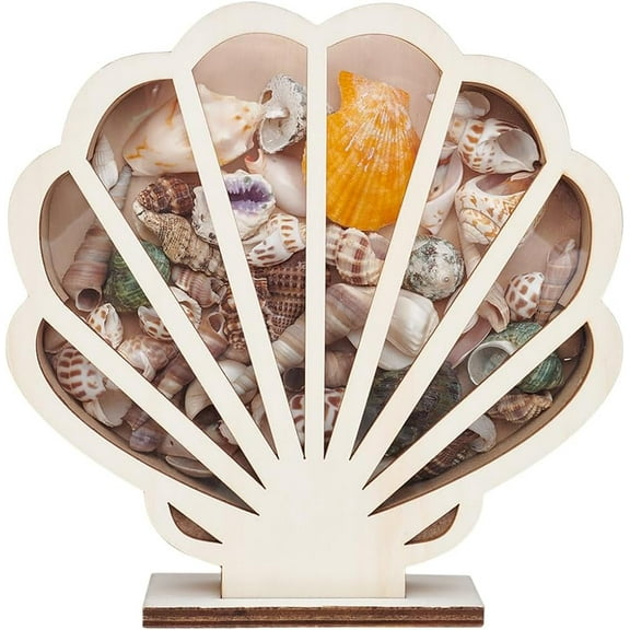 Shell Shaped Basswood Plywood Storage boxes with Visible Window Desktop Decorative Display Case for Small Items BurlyWood 20x6x20cm
