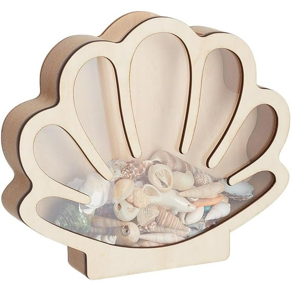 Shell Shaped Wooden Sea Shell Storage Display Cases with Visible Window for Home Decoration Antique White 17.8x3.2x15.5cm