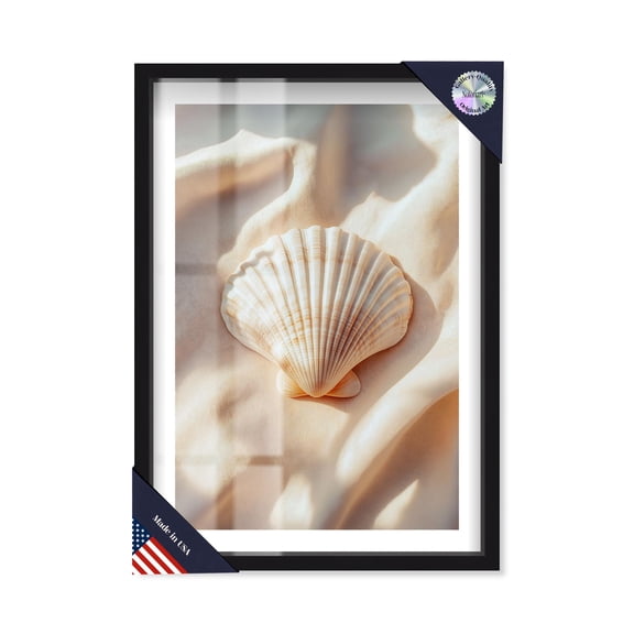 Shell Silk Shadowbox Print Travel Art Prints by Notoriart, Black Frame, 31 x 46