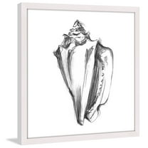 "Shell Sketch I" Framed Painting Print