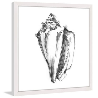 "Shell Sketch I" Framed Painting Print