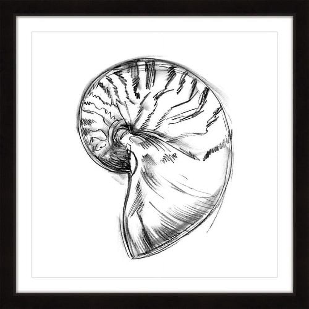 "Shell Sketch IV" Framed Painting Print