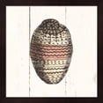 thumbnail image 1 of Shell Sketches IV Shiplap by Wild Apple Portfolio, Framed Wall Art, 13.25W x 13.25H, 1 of 1