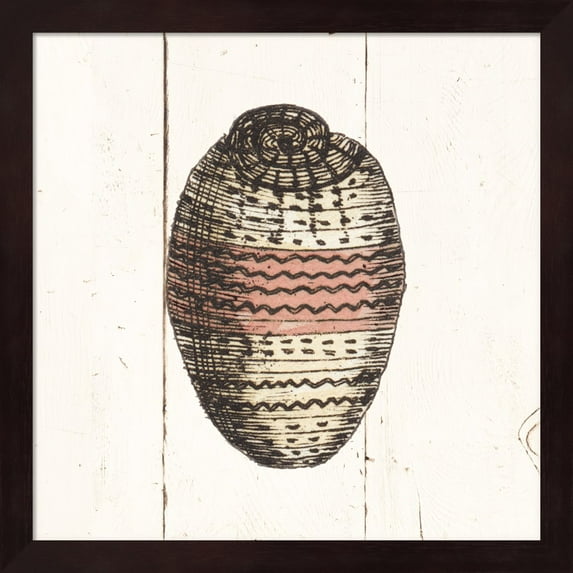 Shell Sketches IV Shiplap by Wild Apple Portfolio, Framed Wall Art, 13.25W x 13.25H